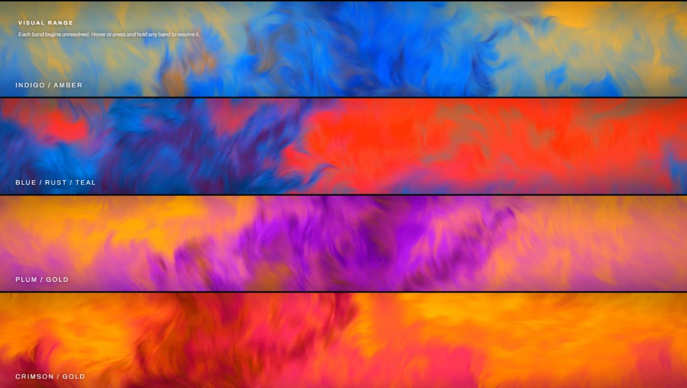 A different fractal family showing structural range